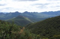 Ausblick vom Mt. Williams