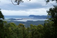 Blick vom gefundenen Lookout zur Cloudy Bay