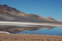 DSC_2262.jpg