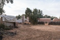 In der Oase Ksar Ghilane