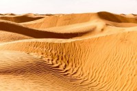 An diesem Tag waren die Dünen von einem anderen Kaliber