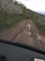 IMG_20190410_155753.jpg