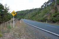 Einfahrt zum Waipoua Kauri Forest; Kiwis hab ich leider bis jetzt noch keine gesehen...das ist aber generell sehr schwierig.