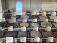 Handstücke in der Geologisch / Mineralogischen Sammlung in der School of Mining