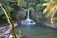 Waiau Fall