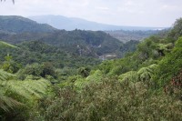 Waimangu Tal