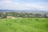 vom Lookout nach Whakatane