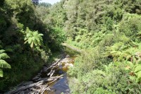 Tangarakau Gorge