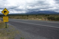 Mt. Tongariro