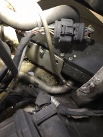 IMG_0111.jpeg