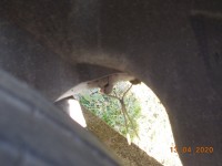 DSCN5579.JPG