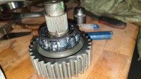 20200415_184847.jpg