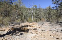 Südliche Flindersrange