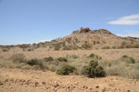 Painted Dessert