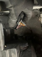 WhatsApp Image 2020-12-04 at 11.47.09.jpeg