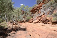 Kings Canyon Walk