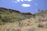 im Kings Canyon