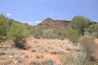 im Kings Canyon