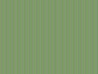 IMG_4959.jpeg