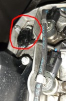 zk_stecker_.jpg