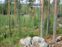 IMG_2516.JPG (277.86 KiB) 5693 mal betrachtet Bei Pieksämäki