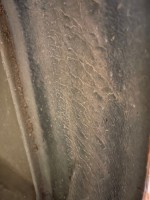 IMG_1542.jpg