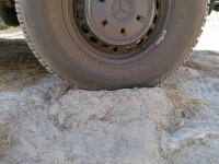 IMG_20220823_105516.jpg