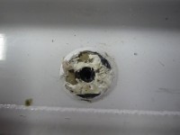 IMG_0041_1.JPG