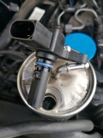 Dieselfilter Wassersensor