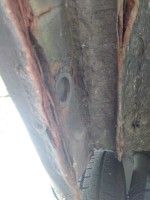 IMG_20231012_170923.jpg