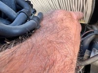 IMG_8993.jpeg