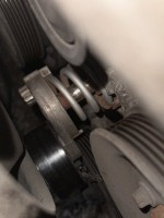 IMG_1818.jpeg