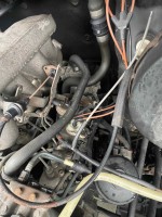 IMG_5668.jpeg