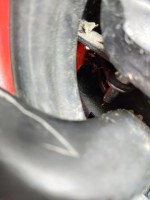 IMG_20240505_173059.jpg