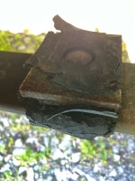 IMG_8541.jpeg