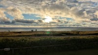 PXL_20240622_191257105.MP_103357.jpg