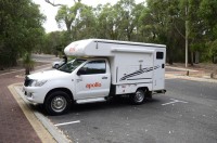 Mein diesjähriger Toyo