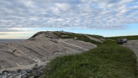 PXL_20240709_171922561_095638.jpg