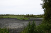 ehem. See im Yanchep NP