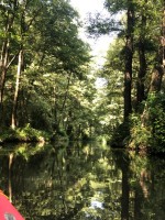 IMG_0817.jpeg