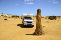 Toyo gegen Pin...wer ist stärker ???