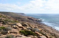 Blick vom Red Bluff die Küste Richtung Süden