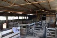 Peron Homestead - Halle zur Schafschur