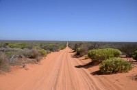 Insgesamt 100 km Sandpiste...Offroadspaß pur....