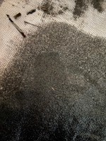 IMG_1939.jpeg