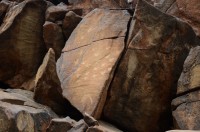 Petroglyphen Barrup Halbinsel