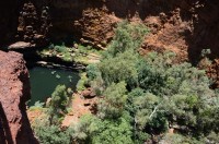 Dales Gorge - Circular Pool