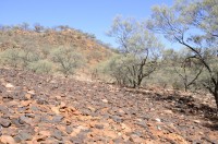 Die Lokalität in den Jack Hills