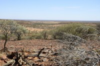 Ausblick von den Jack Hills ins weite Australien