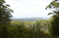 Ausblick im Walpole - Nornalup NP